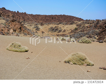 Desert landscape with rocky formations and sparse vegetation, covered with pumice in Minas de San Jose, volcano Teide National Park, Tenerife Desert landscape with rocky formations and sparse vegetation, covered with pumice in Minas de San Jose, volcano Teide National Park, Tenerife 131472814