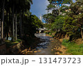 View of the Cali River and the famous Ermita Church in a sunny afternoon. 131473723