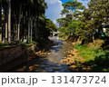 View of the Cali River and the famous Ermita Church in a sunny afternoon. 131473724