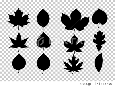Autumn leaf silhouette set Autumn leaf silhouette set 131473750