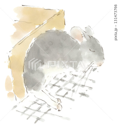チンチラ観察、段ボールの巣箱におしりを突っ込んで横になって眠るチンチラの水彩画イラスト チンチラ観察、段ボールの巣箱におしりを突っ込んで横になって眠るチンチラの水彩画イラスト 131473766