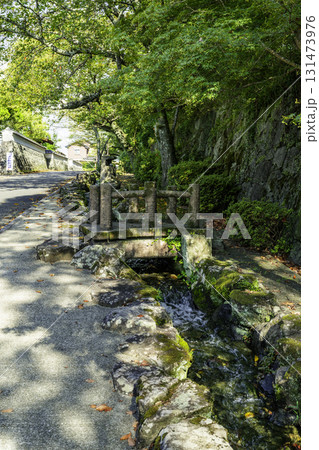 佐賀鹿島 鹿島城跡 武家屋敷通り 佐賀県鹿島市 佐賀鹿島 鹿島城跡 武家屋敷通り 佐賀県鹿島市 131473976