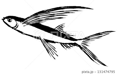 筆絵イラスト_トビウオ_モノクロ 131474795