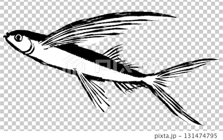 筆絵イラスト_トビウオ_モノクロ 131474795