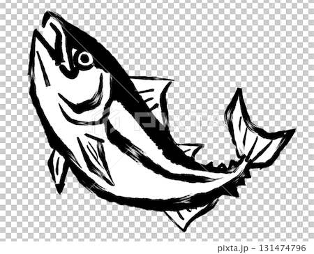 筆絵イラスト_カツオ_モノクロ 筆絵イラスト_カツオ_モノクロ 131474796