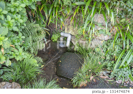 旧川越街道を渡ったところに富澤湧水 旧川越街道を渡ったところに富澤湧水 131474874