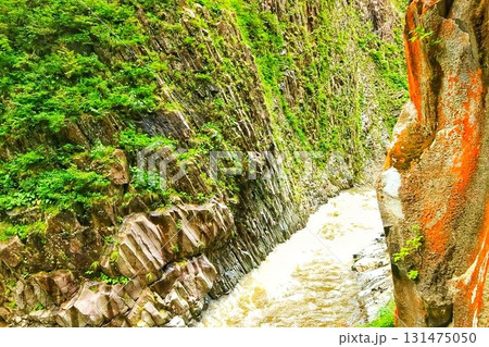 新緑に映える渓谷 新緑に映える渓谷 131475050