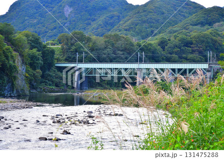 秋の利根川風景　上越線鉄橋　棚下不動付近の眺め　　　　 131475288