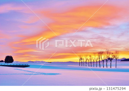 雪原のハサ木朝焼けの夜明け・越後三山冬景色 雪原のハサ木朝焼けの夜明け・越後三山冬景色 131475294