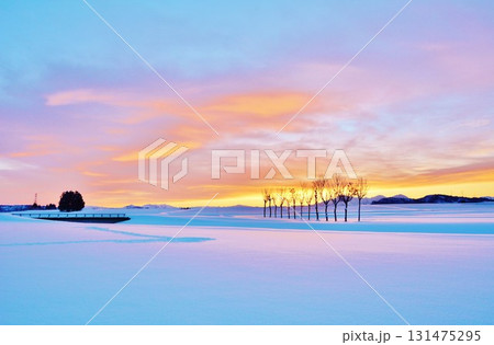 雪原のハサ木朝焼けの夜明け・越後三山冬景色 131475295