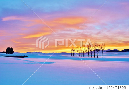 雪原のハサ木朝焼けの夜明け・越後三山冬景色 131475296