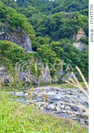秋 利根川の河岸段丘 棚下不動付近の眺め 秋 利根川の河岸段丘 棚下不動付近の眺め 131475350