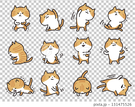 Set of cats stretching and doing muscle training 131475526