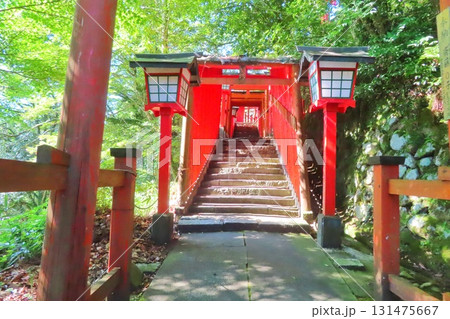 【島根県】太鼓谷稲荷神社 131475667