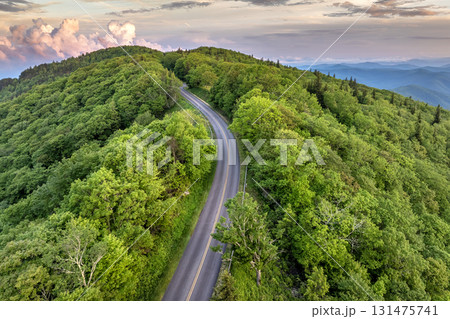 Winding mountain road in summer woods. Appalachian mountains in North Carolina with fresh green forest trees in summertime season. Beauty of USA nature 131475741