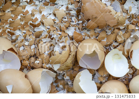 Top view of many big and small pieces of eggshells. Top view of many big and small pieces of eggshells. 131475833