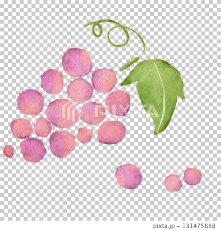 葡萄的水彩插圖 131475888
