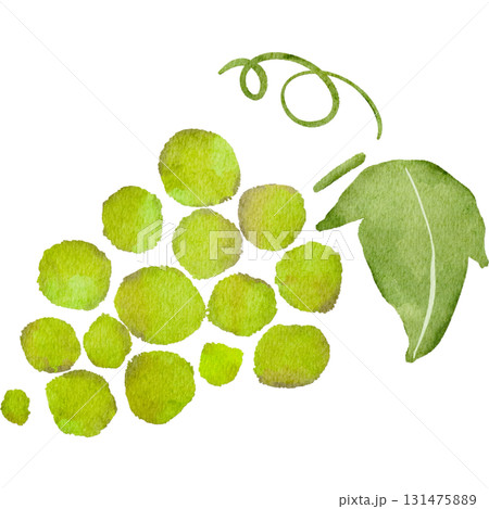 水彩風に描いた葡萄のイラスト 水彩風に描いた葡萄のイラスト 131475889