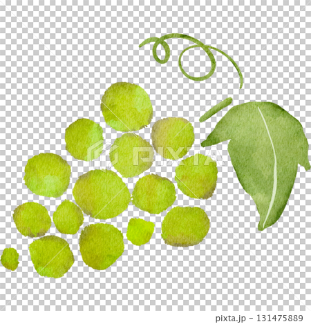 葡萄的水彩插圖 131475889