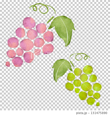 葡萄的水彩插圖 131475890