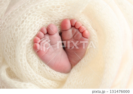 Soft feet of a newborn in a white woolen blanket. Close up of toes, heels and feet of a newborn baby 131476000