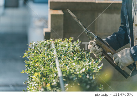 Japanese Gardener Japanese Gardener 131476076