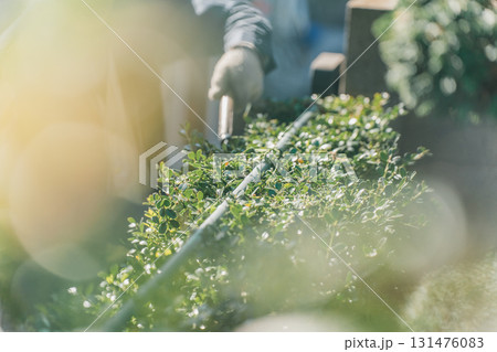 Japanese Gardener 131476083