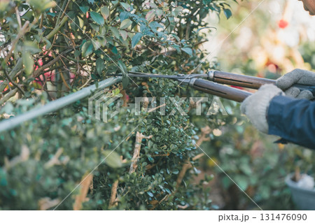 Japanese Gardener Japanese Gardener 131476090