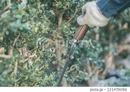 Japanese Gardener Japanese Gardener 131476098