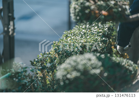 Japanese Gardener 131476113