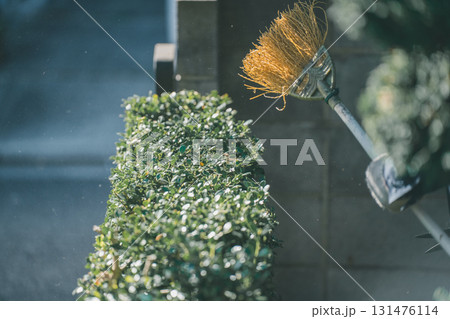 Japanese Gardener 131476114