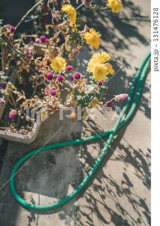 Japanese Gardener Japanese Gardener 131476128
