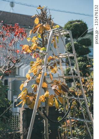 Japanese Gardener Japanese Gardener 131476132