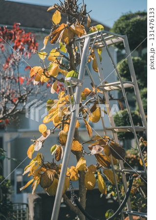 Japanese Gardener 131476133