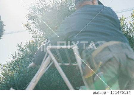 Japanese Gardener 131476134