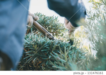 Japanese Gardener Japanese Gardener 131476161