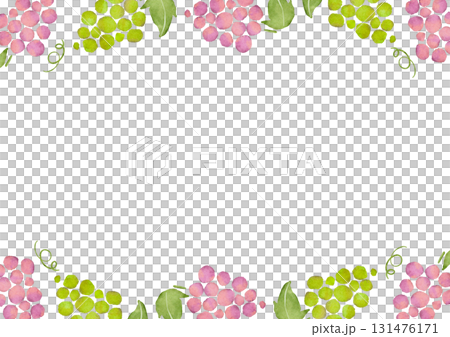 葡萄的水彩插圖 131476171