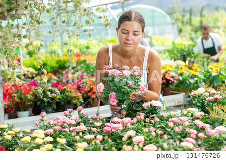 Girl walks through exhibition of ornamental plants, examines rose in showcase Girl walks through exhibition of ornamental plants, examines rose in showcase 131476726