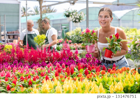 Girl walks through exhibition of ornamental plants, examines celosia in showcase 131476751