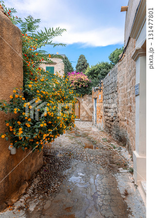 Street view of old town of Rhodes, Greece. Paved roads and pavements with colorful houses and fragrant flowers. High quality photo Street view of old town of Rhodes, Greece. Paved roads and pavements with colorful houses and fragrant flowers. High quality photo 131477801