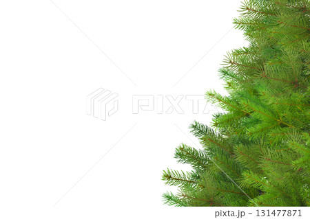 Lush green Christmas tree ready for festive adornment, isolated, PNG Lush green Christmas tree ready for festive adornment, isolated, PNG 131477871