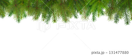 Fresh evergreen branches ready for holiday decorating, isolated, PNG Fresh evergreen branches ready for holiday decorating, isolated, PNG 131477880
