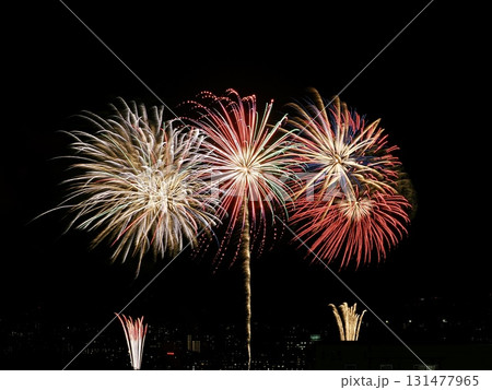 夜空に咲く花火 夜空に咲く花火 131477965