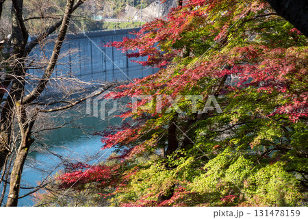 三重県　君ヶ野ダム　湖畔の風景 131478159