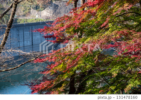 三重県 君ヶ野ダム 湖畔の風景 三重県 君ヶ野ダム 湖畔の風景 131478160
