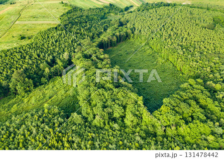 Top down aerial view of green summer forest with large area of cut down trees as result of global deforestation industry. Harmful human influence on world ecology. 131478442