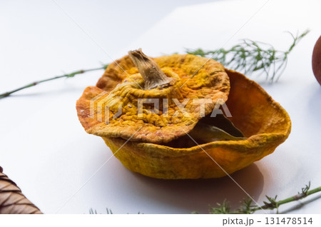 Dried pumpkin - container with a lid and a dried mandarin with a leaf, horsetail, and a spruce cone on a white background. Still life. Dried pumpkin - container with a lid and a dried mandarin with a leaf, horsetail, and a spruce cone on a white background. Still life. 131478514