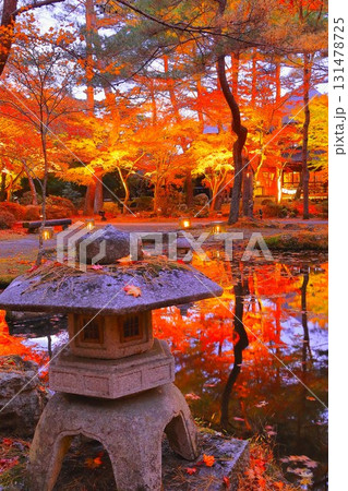 キラキラ輝く幻想的な紅葉のライトアップ キラキラ輝く幻想的な紅葉のライトアップ 131478725