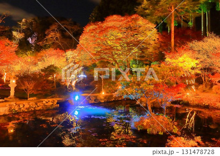 キラキラ輝く幻想的な紅葉のライトアップ 131478728