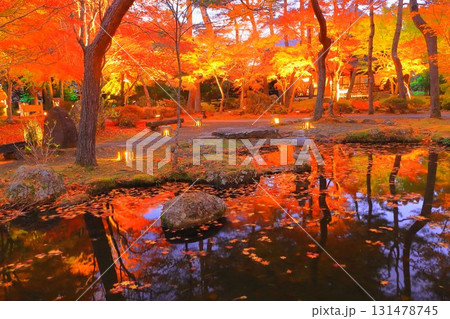 幻想的な紅葉のライトアップ 131478745